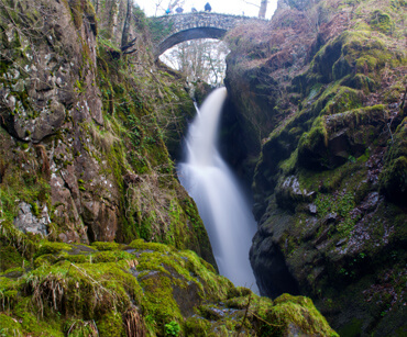 nearby-aira-force
