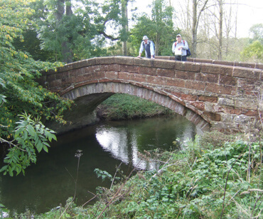 nearby-whinfell-forest